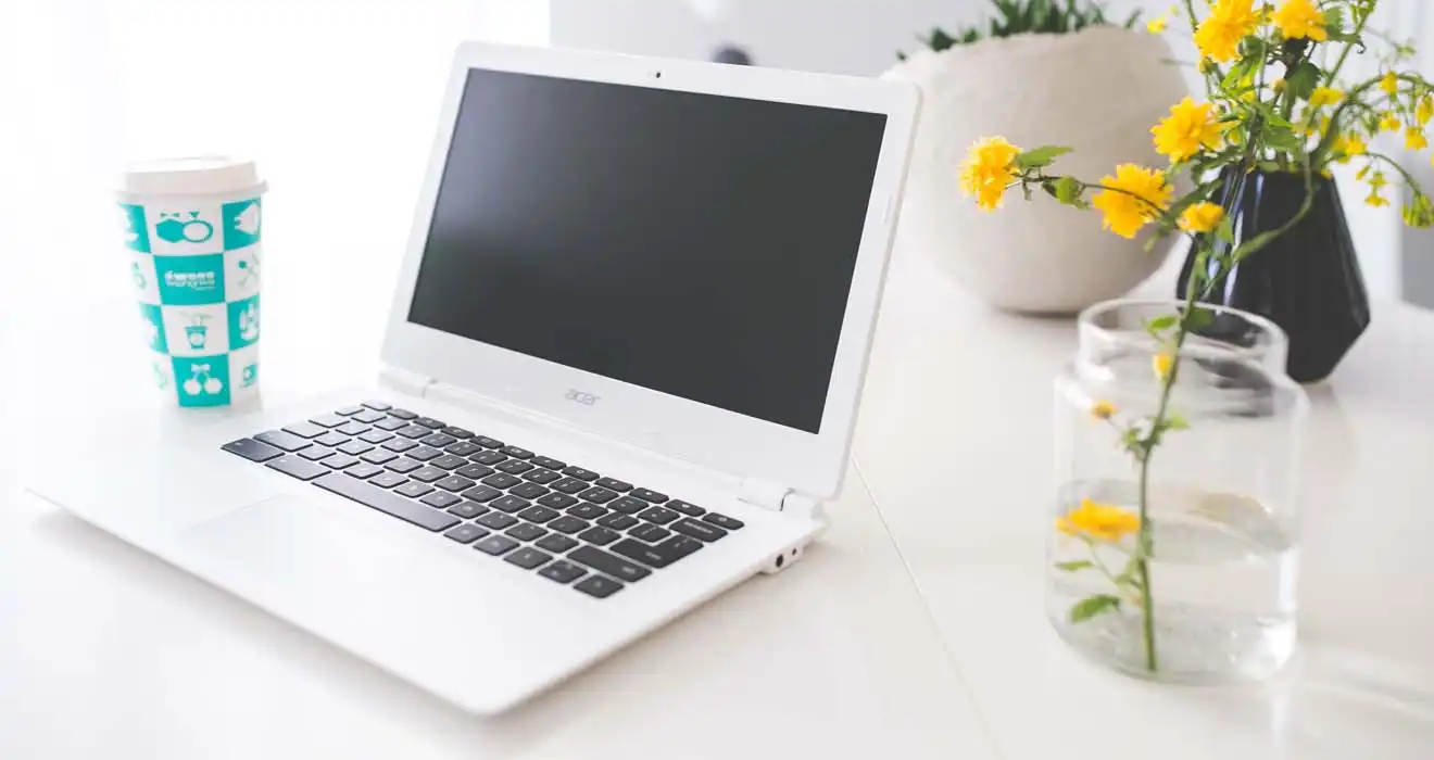 Ремонт ноутбуков Acer в Бердске