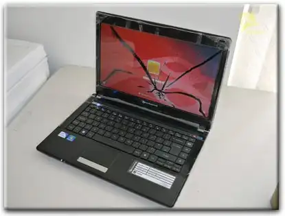 Замена матрицы Packard Bell в Бердске